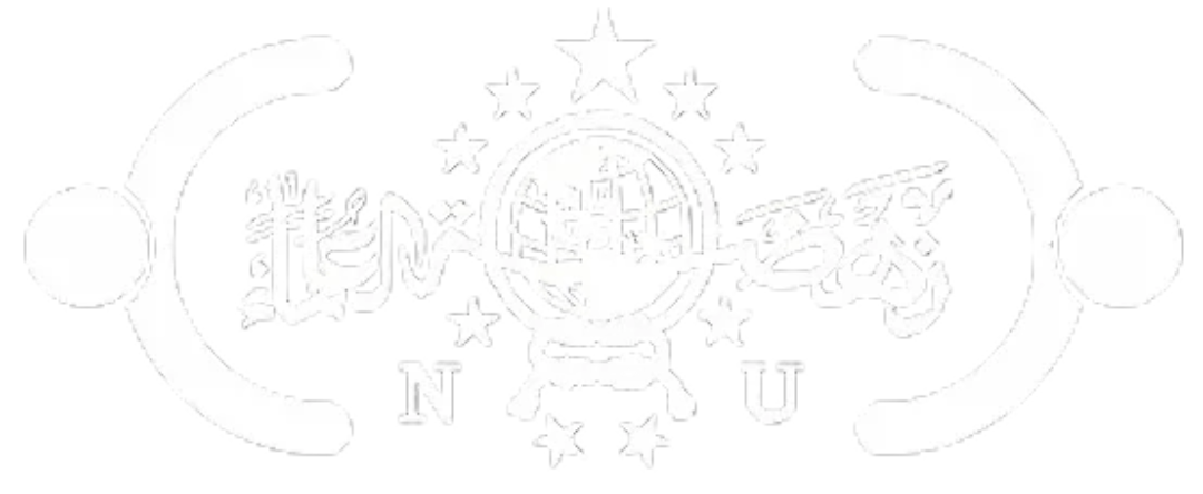 NU Care-Lazisnu Logo